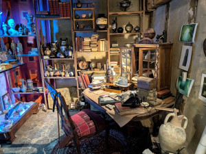 Visite de la Galerie des Curiosités Larraincy